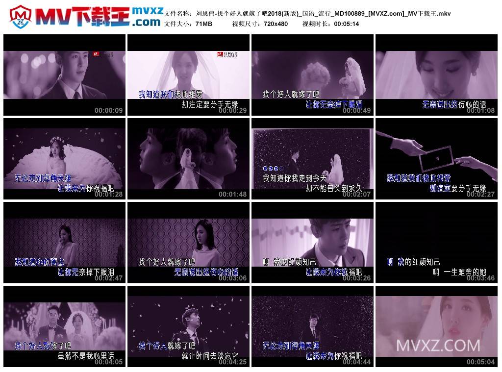 刘思伟-找个好人就嫁了吧2018(新版)_国语_流行_MD100889